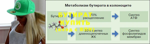 гидра Гусь-Хрустальный