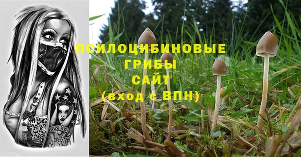 скорость Гусиноозёрск