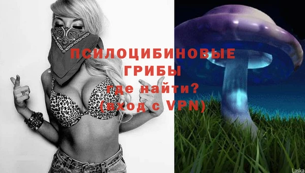 не бодяженный Гусев