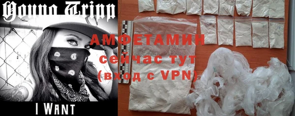гидра Гусь-Хрустальный