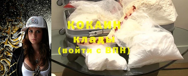 гидра Гусь-Хрустальный