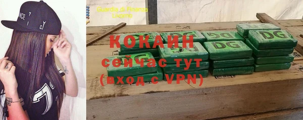 не бодяженный Гусев